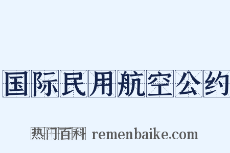 国际民用航空公约是什么意思的图片